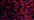 0326 Hibiscus Kreinik Very Fine #4 Braid Pto