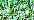 3215 Peridot Kreinik Very Fine #4 Braid